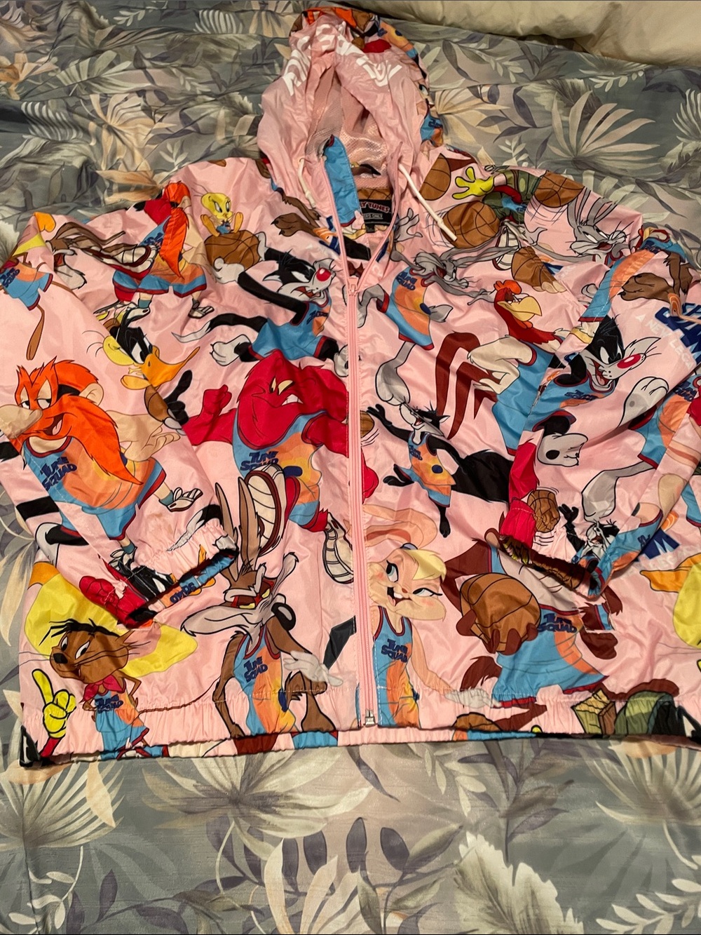 Warner Bros. Pink Cartoon Characters Hooded Raincoat